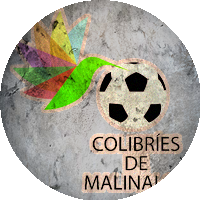 Logo Colibríes de Malinalco